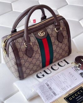 Gucci MASTER COPY :  Ophidia speedy :9×7 inches