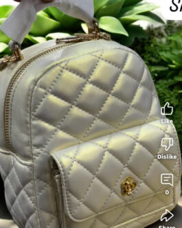 White Gold Chrome Backpack : 8 x 6 Inches